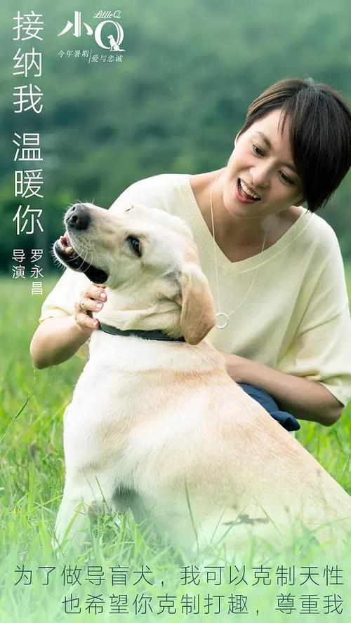 哪里可以办澳门城市大学文凭毕业证